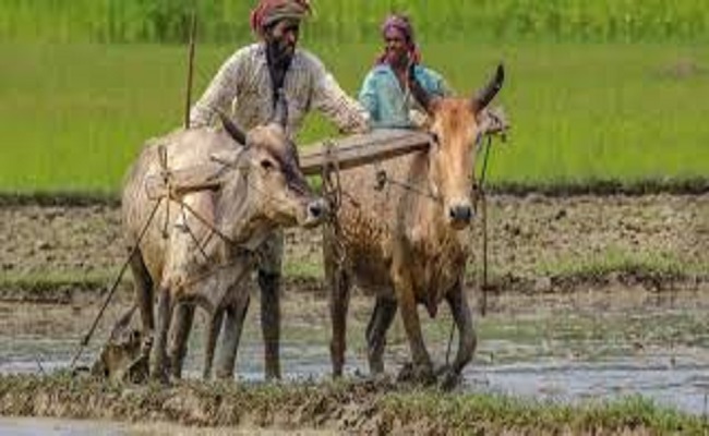 मोदी कैबिनेट ने जारी की पीएम किसान सम्मान निधि योजना की 10वीं किस्त, आप भी चेक करें अपना नाम