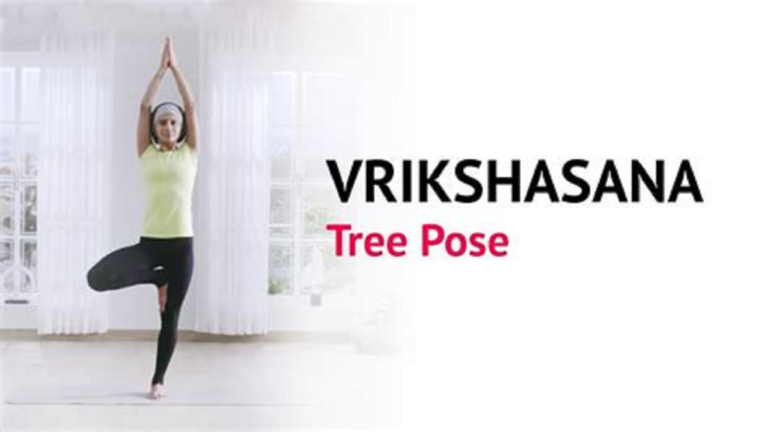 Yoga Tips: मानसिक शांति व शारीरिक संतुलन बढ़ाने के लिए जरुरी है वृक्षासन योग
