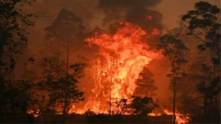उत्तराखंड में जंगलों की आग से बड़ी समस्याएं, 3 दिन में 17 घटनाएं, 43 हेक्टेयर वन क्षेत्र प्रभावित