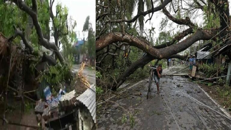 उत्तराखंड: बदले मौसम से बड़ी मुश्किलें, तूफान ने उखाड़े कई पेड़, कार सवार वकील की मौत