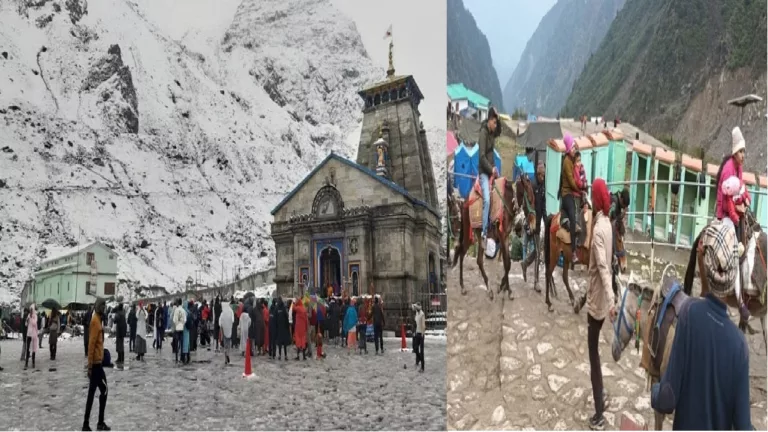 केदारनाथ मार्ग पर 15 दिन में 16 घोड़े-खच्चरों की मौत, टिटनेस संक्रमण से गर्दन हो रही टेढ़ी