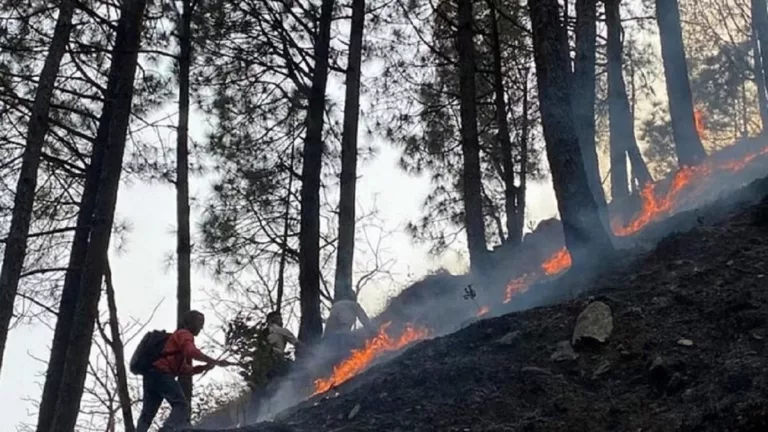 उत्तराखंड में एक दिन में 78 स्थानों पर लगी जंगल में आग, 647 पर पहुंचा वनाग्नि का आंकड़ा