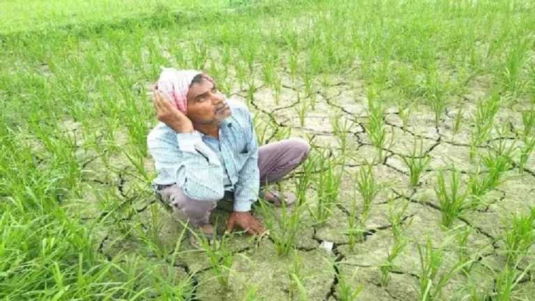 Monsoon Update: किसानों के लिए अगले 4 हफ्ते तक टेंशन देगा मॉनसून, आई ये चेतावनी