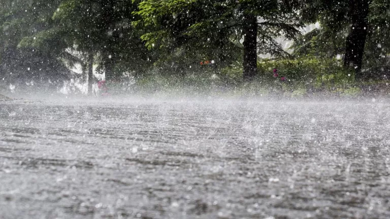 आज पांच जिलों में भारी बारिश का यलो अलर्ट, प्रदेश में 10 स्टेट हाईवे समेत 167 सड़कें बंद