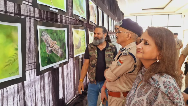 धैर्य और तकनीक का अद्भुत मिश्रण है वाइल्ड लाइफ फोटोग्राफी