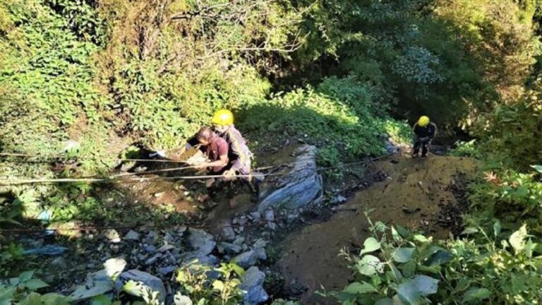 उत्तराखंड: पहाड़ी से गिरी कार, घायलों को बचाने उतरी एसडीआरएफ, बाल-बाल बची चार जिंदगियाँ