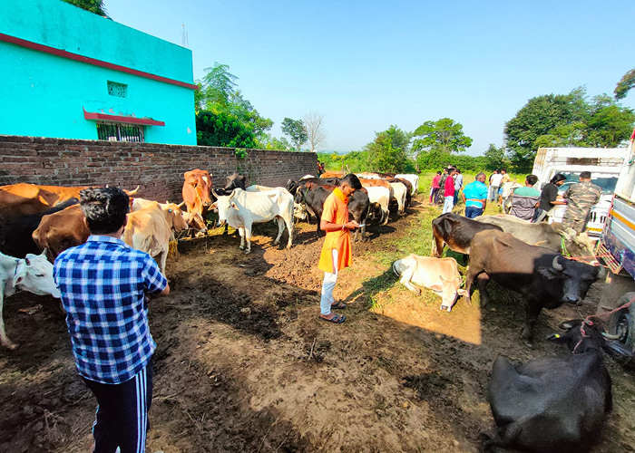 तमिलनाडु के पशु अधिकार कार्यकर्ता साई विग्नेश को मवेशी तस्करी के खिलाफ संघर्ष करने पर मिली जान से मारने की धमकी